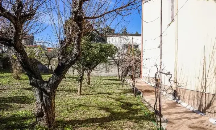 Rexer-Portocannone-Palazzina-a-Portocannone-di-tre-unit-abitative-Terrazzo