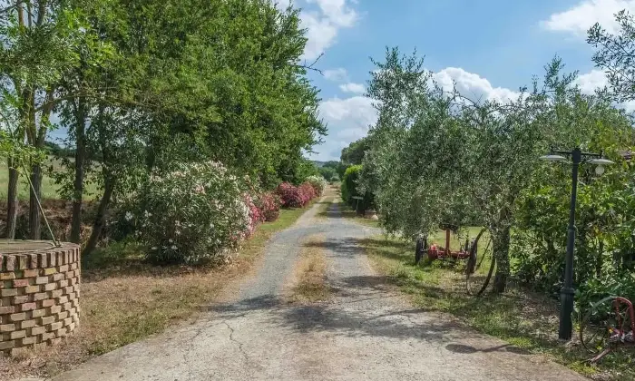 Rexer-Grosseto-Tenuta-con-residenza-struttura-ricettiva-terreno-e-potenzialit-edificatoria-Altro