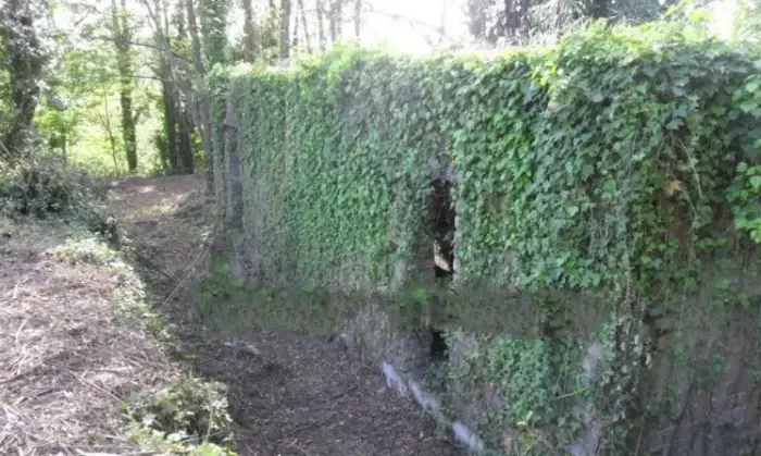 Rexer-Cave-Villa-unifamiliare-Via-DellAgricoltura-Cave-Giardino