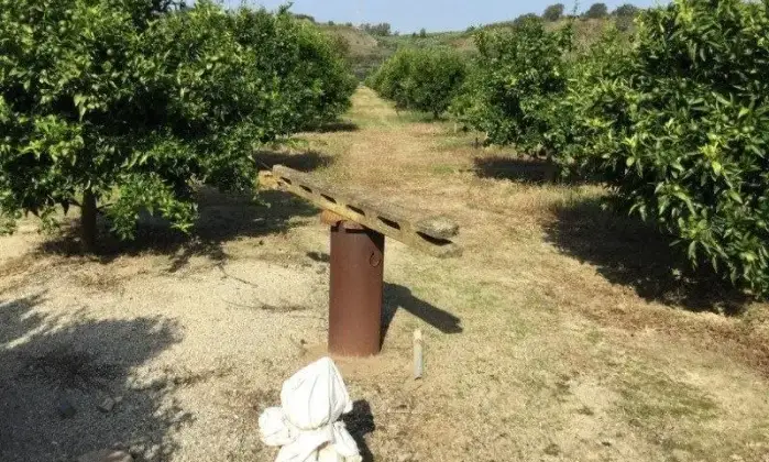 Rexer-San-Calogero-Azienda-agricola-in-vendita-in-SP-a-San-Calogero-Giardino