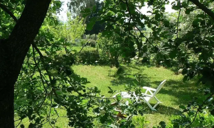 Rexer-Scarlino-Vendesi-Terratetto-in-Localit-La-Forcola-a-Scarlino-Terrazzo