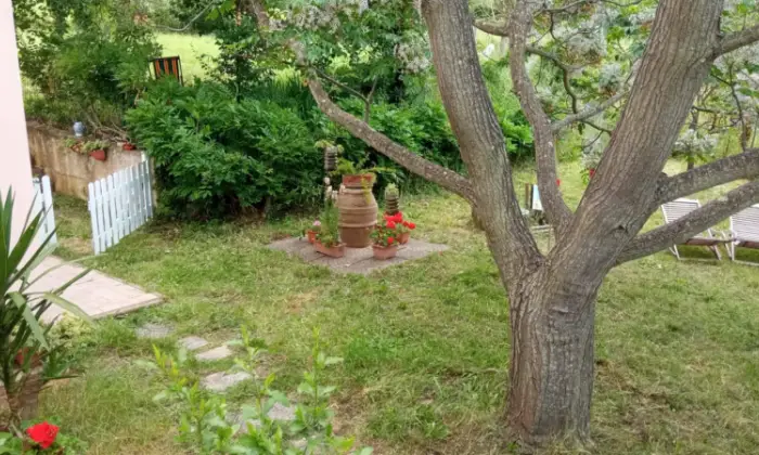 Rexer-Scarlino-Vendesi-Terratetto-in-Localit-La-Forcola-a-Scarlino-Giardino
