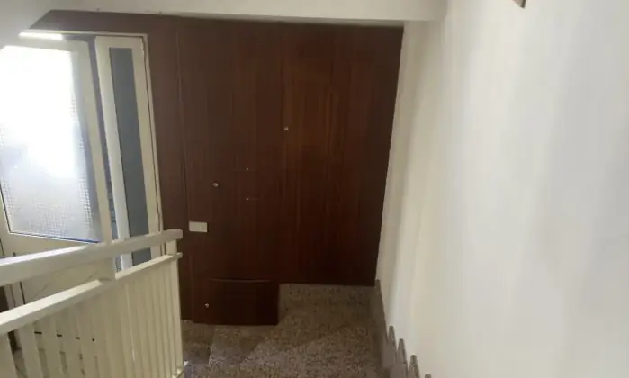 Rexer-Maglie-Casa-indipendente-per-uso-commercialeprofessionale-Altro