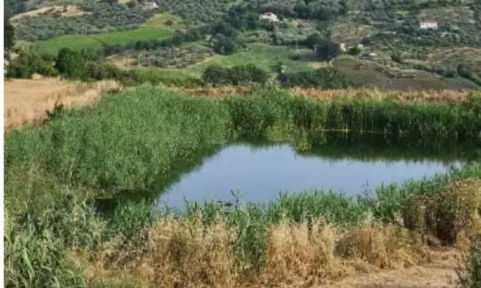 Rexer-Citt-SantAngelo-Propriet-rustica-in-vendita-in-via-Sorripe-a-Citt-SantAngelo-Terrazzo