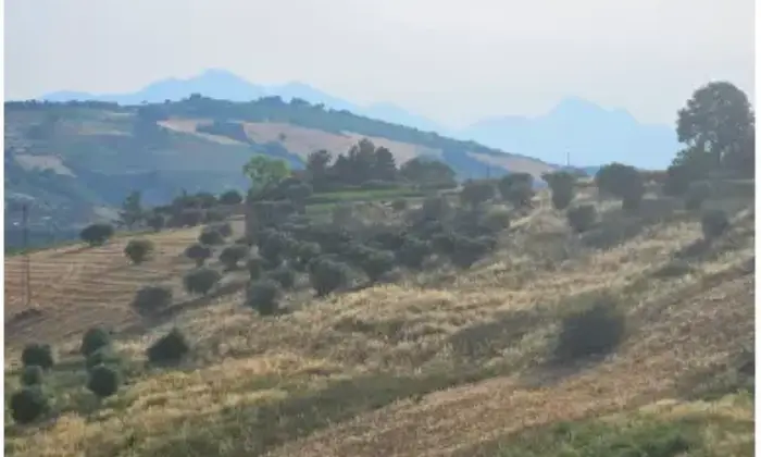 Rexer-Citt-SantAngelo-Propriet-rustica-in-vendita-in-via-Sorripe-a-Citt-SantAngelo-Terrazzo