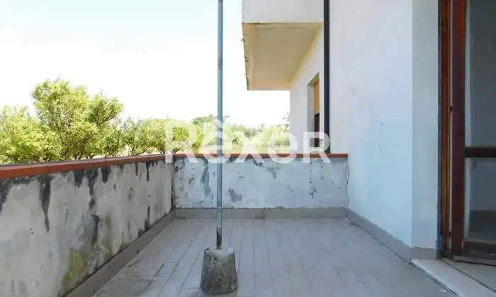 Rexer-Santa-Maria-del-Cedro-Appartamento-in-via-dei-Giacinti-a-Santa-Maria-del-Cedro-CS-Altro
