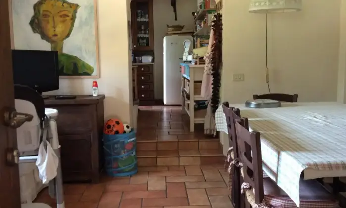 Rexer-Zagarolo-Villacasale-immersa-nel-verde-con-piscina-Altro