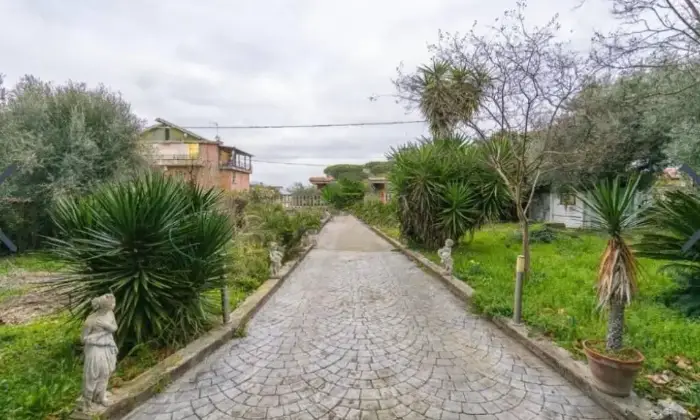 Rexer-Zagarolo-Vendesi-Villa-in-piazza-Santa-Maria-Centro-Zagarolo-Giardino