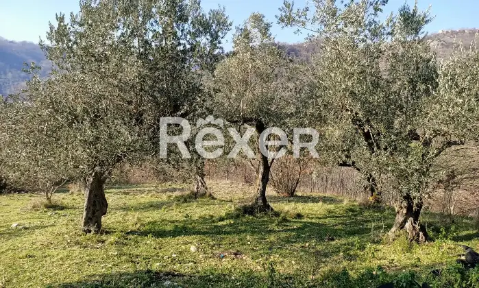 Rexer-Casalduni-Rustico-e-casale-in-vendita-in-localit-Collemarino-a-Casalduni-Altro