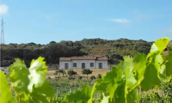 Rexer-Santa-Teresa-Gallura-Agricamping-con-casa-a-km-dal-mare-Santa-Teresa-Gallura-Terrazzo