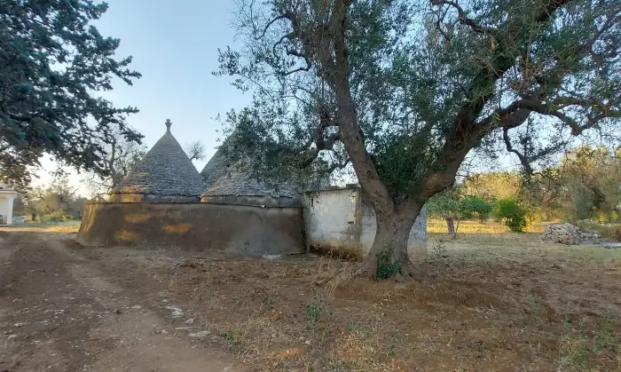 Rexer-Latiano-Trullo-m-contrada-Coltura-Latiano-con-terreno-Altro