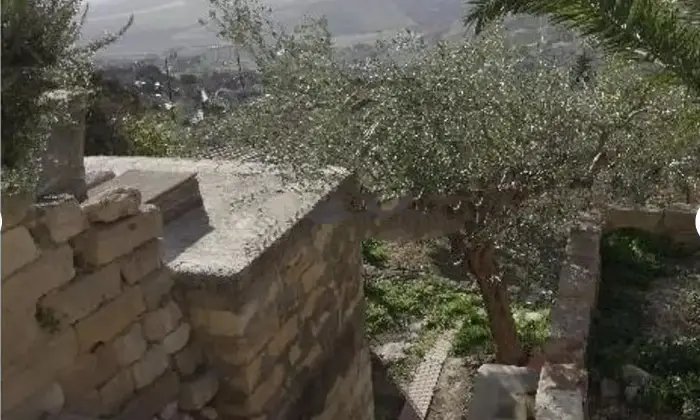 Rexer-Castel-di-Iudica-Vendesi-appartamento-in-Via-Scilletta-a-Castel-di-Iudica-GIARDINO