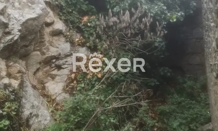 Rexer-Bitti-Vendiamo-casa-indipendente-Altro