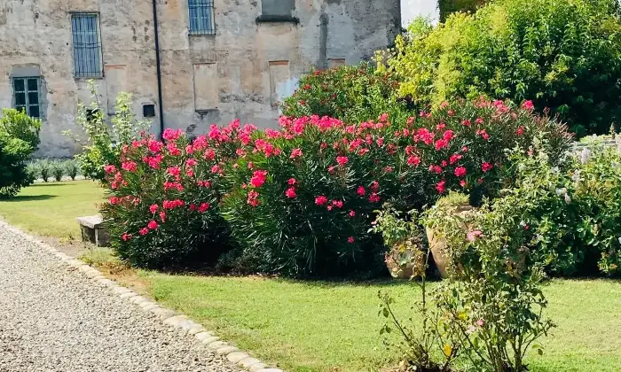 Rexer-Castellazzo-Novarese-Dimora-storica-lungo-la-strada-Valsesia-vicino-a-Novara-Giardino
