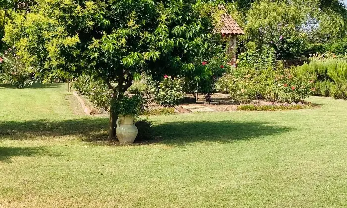 Rexer-Castellazzo-Novarese-Dimora-storica-lungo-la-strada-Valsesia-vicino-a-Novara-Giardino