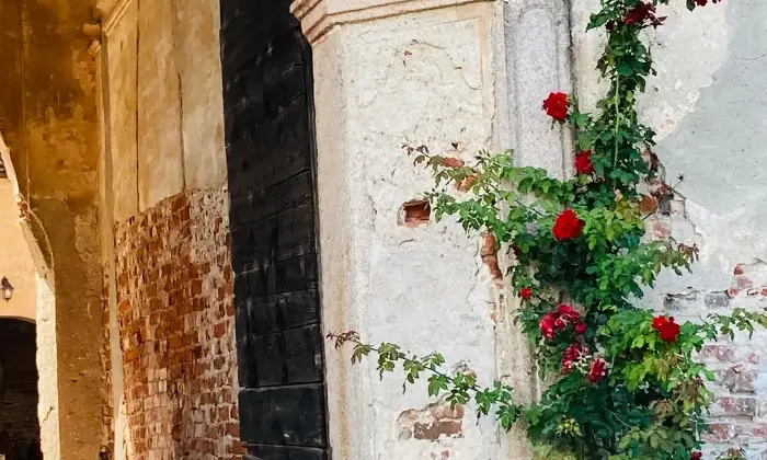 Rexer-Castellazzo-Novarese-Dimora-storica-lungo-la-strada-Valsesia-vicino-a-Novara-Terrazzo