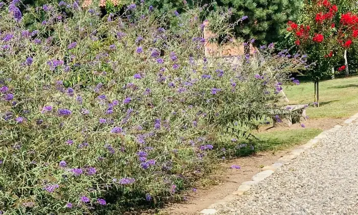 Rexer-Castellazzo-Novarese-Dimora-storica-lungo-la-strada-Valsesia-vicino-a-Novara-Giardino