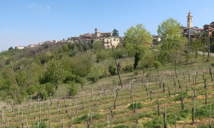 Rexer-Rovescala-Villa-singola-Altro