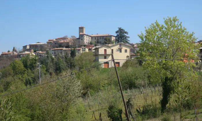 Rexer-Rovescala-Villa-singola-Altro