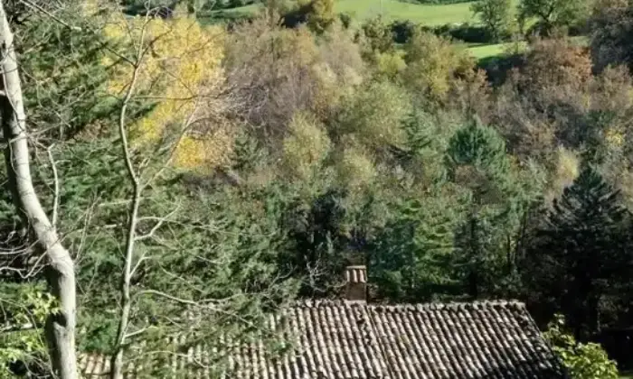 Rexer-Arsita-Mulino-ad-acqua-di-epoca-medioevale-con-annesso-casa-colonica-Terrazzo