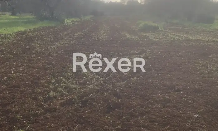 Rexer-San-Vito-dei-Normanni-Villa-composta-da-due-unit-con-progetto-approvato-per-realizzare-piscina-mis-x-Giardino