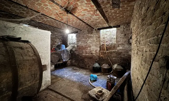 Rexer-Masio-Casale-con-terreni-Altro