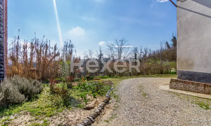 Rexer-Castagnole-Monferrato-Affascinante-Cascina-Ristrutturata-con-Bosco-Privato-a-Castagnole-Monferrato-Altro