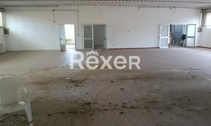 Rexer-Mesola-FE-Vendita-Villa-con-Capannone-a-Mesola-FE-mq-Altro
