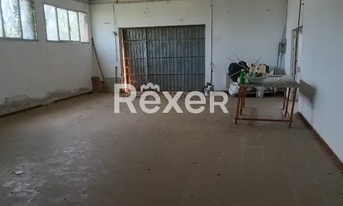 Rexer-Mesola-FE-Vendita-Villa-con-Capannone-a-Mesola-FE-mq-Altro