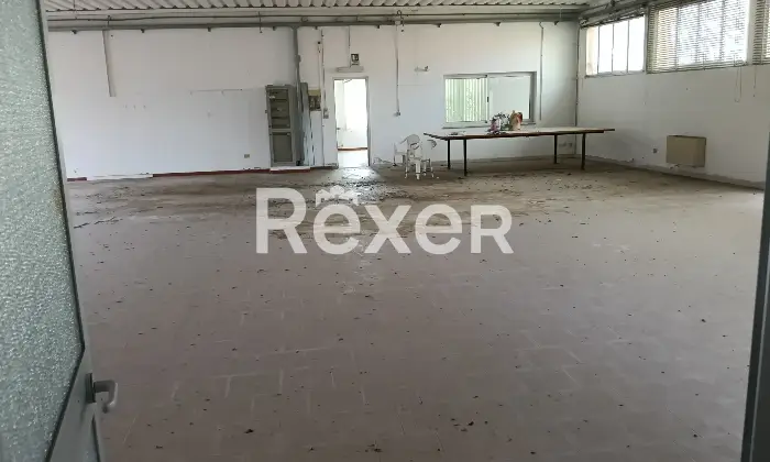 Rexer-Mesola-FE-Vendita-Villa-con-Capannone-a-Mesola-FE-mq-Altro