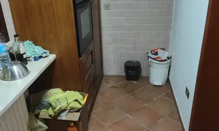 Rexer-Ceneselli-Altro