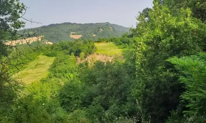 Rexer-Monzuno-VILLETTA-di-NICCHIA-in-vendita-a-Monzuno-BO-Altro