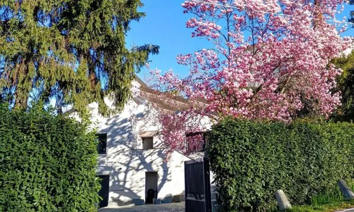Rexer-Usmate-Velate-Villa-in-vendita-a-Usmate-Velate-Altro