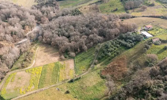 Rexer-Ceraso-Vendesi-Rustico-con-terreno-agricolo-Altro