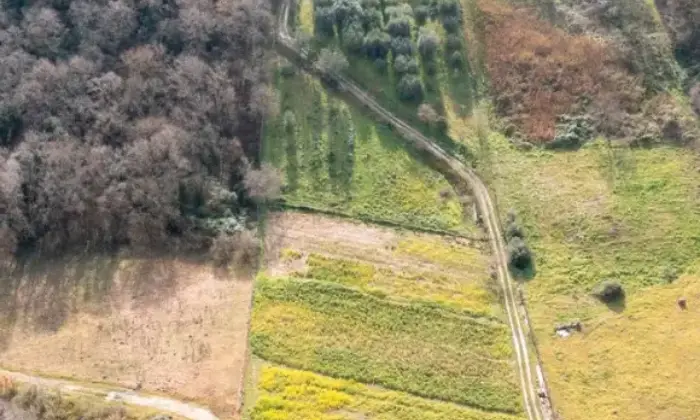 Rexer-Ceraso-Vendesi-Rustico-con-terreno-agricolo-Altro