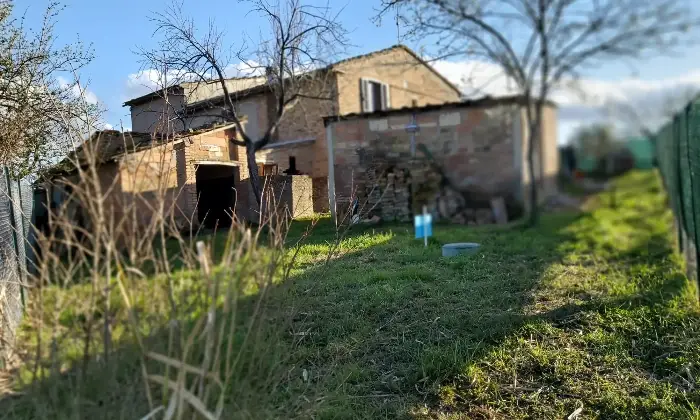 Rexer-Chiusi-Vendesi-Tipico-Casalino-Toscano-a-Chiusi-SI-Altro
