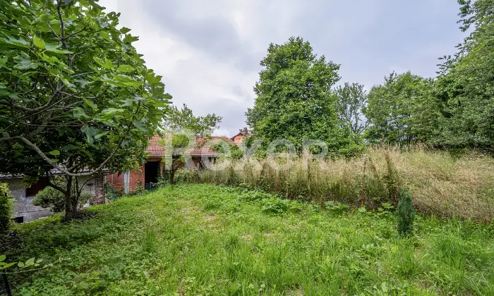 Rexer-Colmo-Terratetto-ristrutturato-con-giardino-Altro