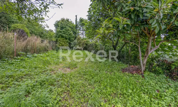Rexer-Colmo-Terratetto-ristrutturato-con-giardino-Altro
