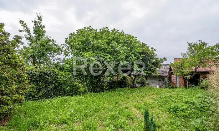 Rexer-Colmo-Terratetto-ristrutturato-con-giardino-Altro
