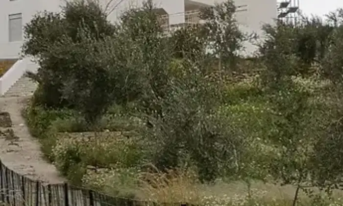 Rexer-Piazza-Armerina-Vendesi-Villetta-in-ristrutturazione-a-Barrafranca-EN-Altro