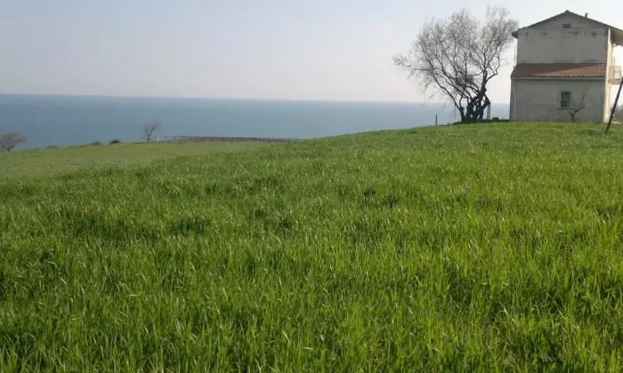 Rexer-Termoli-Terreno-panoramico-con-porzione-di-fabbricato-Terreno