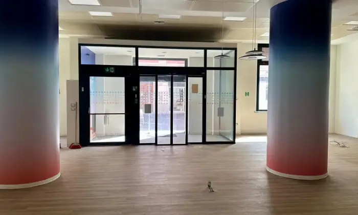 Rexer-Cosenza-Filiale-Bancaria-e-Appartamenti-Residenziali-in-Vendita-a-Cosenza-Altro