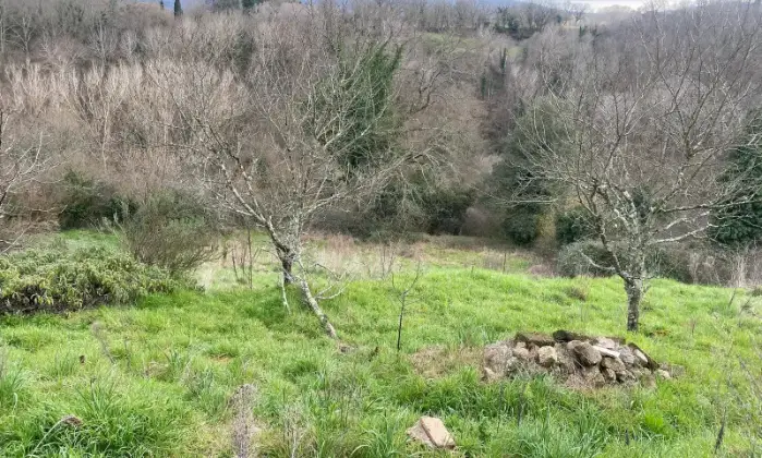 Rexer-Monticiano-Vendesi-rustico-a-Monticiano-SI-Altro