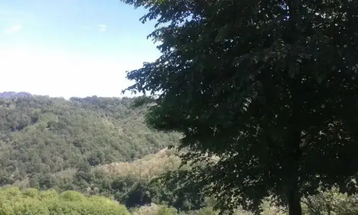 Rexer-Monzuno-Vendesi-Casa-indipendente-in-Localit-Castel-Merlino-Monzuno-Altro