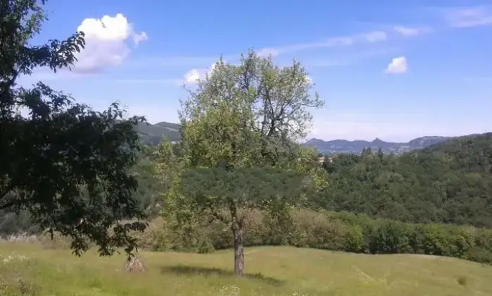 Rexer-Monzuno-Vendesi-Casa-indipendente-in-Localit-Castel-Merlino-Monzuno-Altro