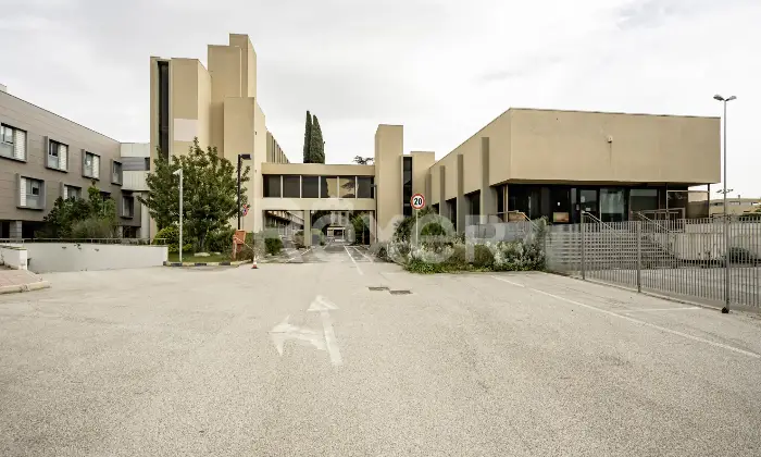 Rexer-Bari-Asset-Direzionale-con-Area-Strategica-Altro