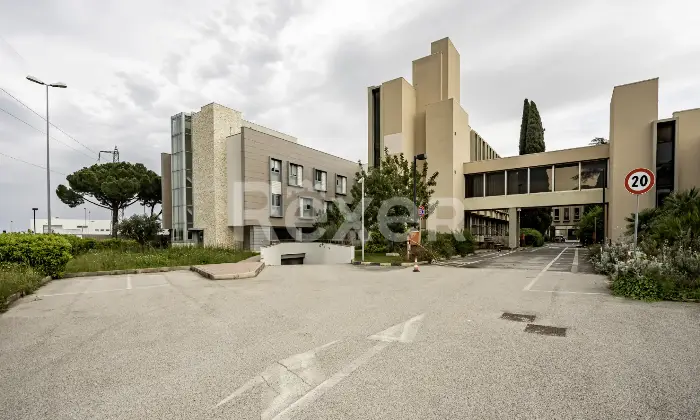 Rexer-Bari-Asset-Direzionale-con-Area-Strategica-Altro