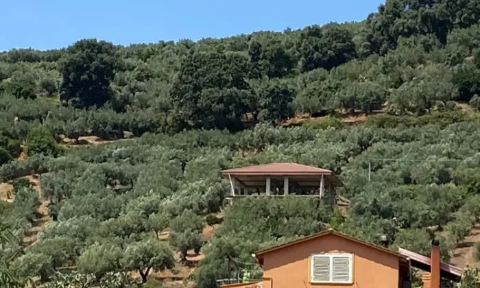 Rexer-Lamezia-Terme-Vendesi-una-struttura-immersa-nel-verde-a-Lamezia-Terme-Altro