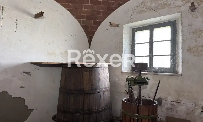 Rexer-Rapolano-Terme-Porzione-di-CasalePodere-Cantina