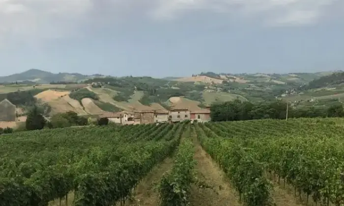 Rexer-Mornico-Losana-Vendesi-Propriet-Rustica-a-Mornico-Losana-Altro